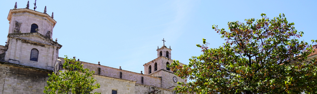 Catedral