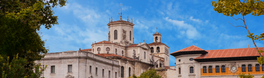 Vista Catedral