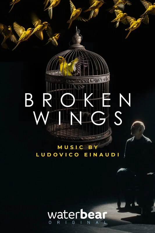 Broken wings